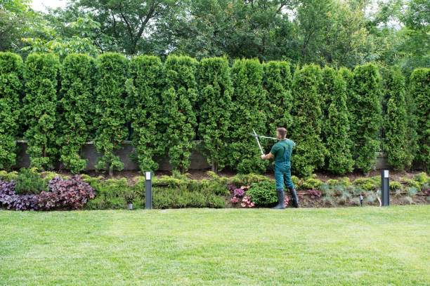 Leaf Removal in Slippery Rock, PA